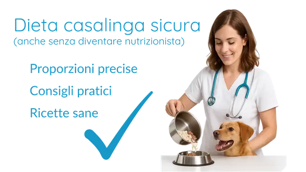 Dieta casalinga sicura: linee guida pratiche