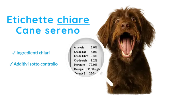 Etichette chiare: come leggere le confezioni