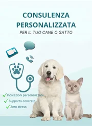 Consulenza veterinaria personalizzata MyRealVet