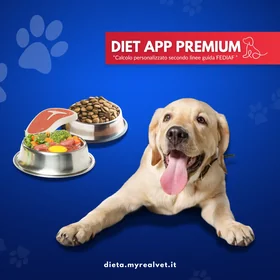 Dietapp MyRealVet