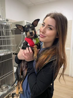 Dott.ssa Angelica Spaccini