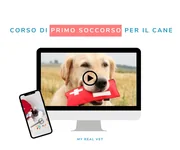 Copertina del corso di pronto soccorso canino