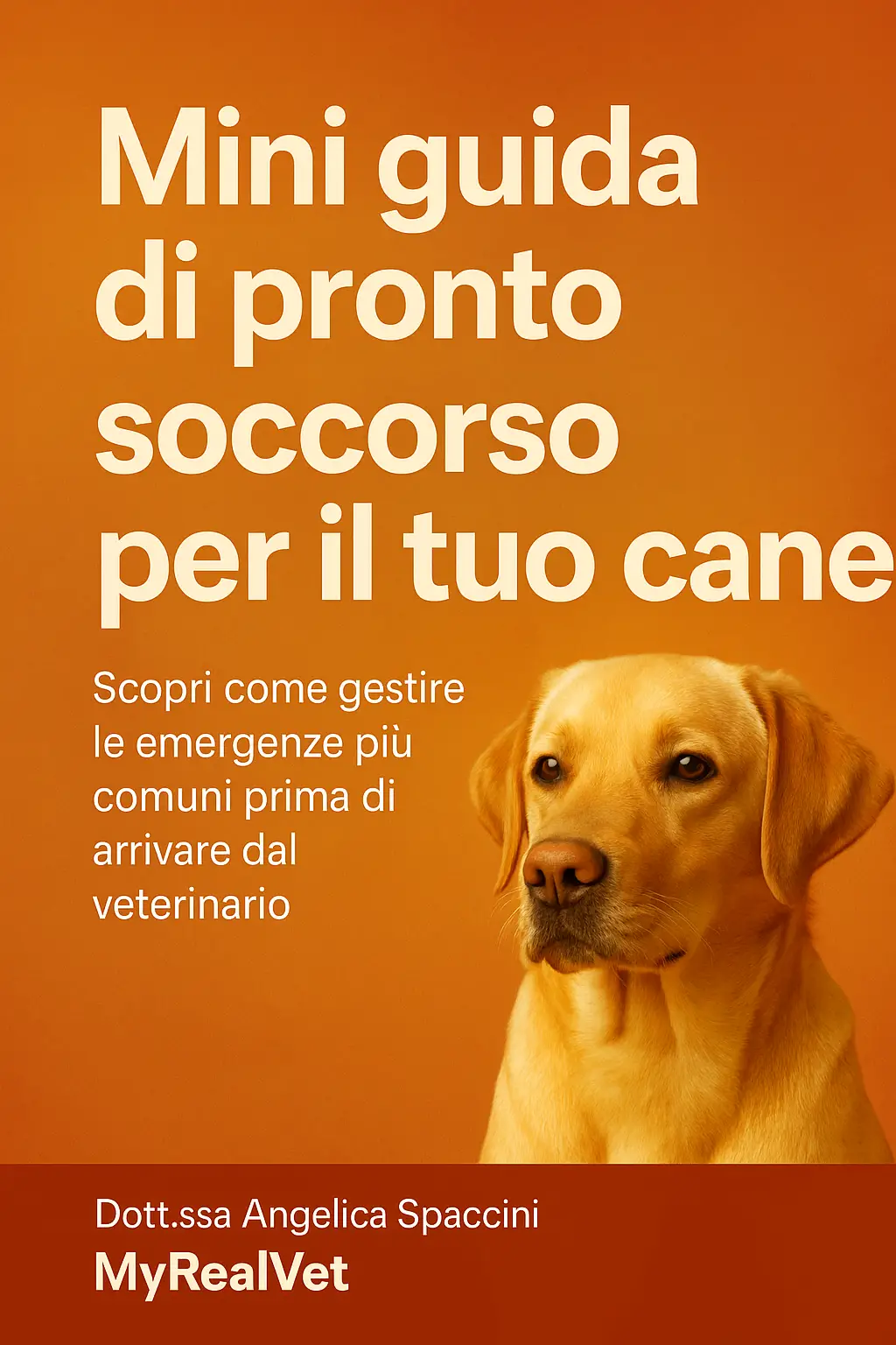 Mini Guida Pronto Soccorso