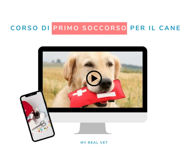 Mockup del corso Pronto Soccorso Canino