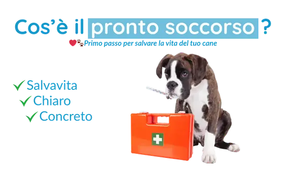 Slide 1: Primo soccorso per cani – Introduzione